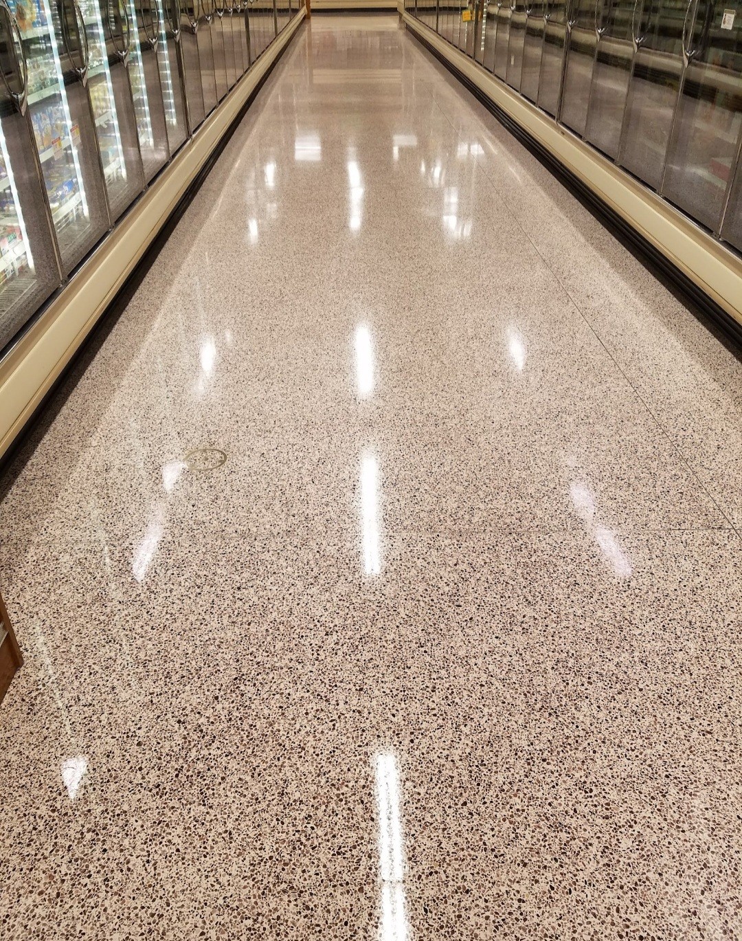 Terrazzo Floor Restoration